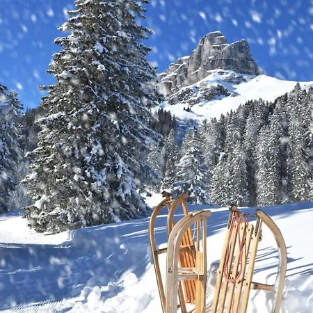 Parkareal By Interhome * Davos