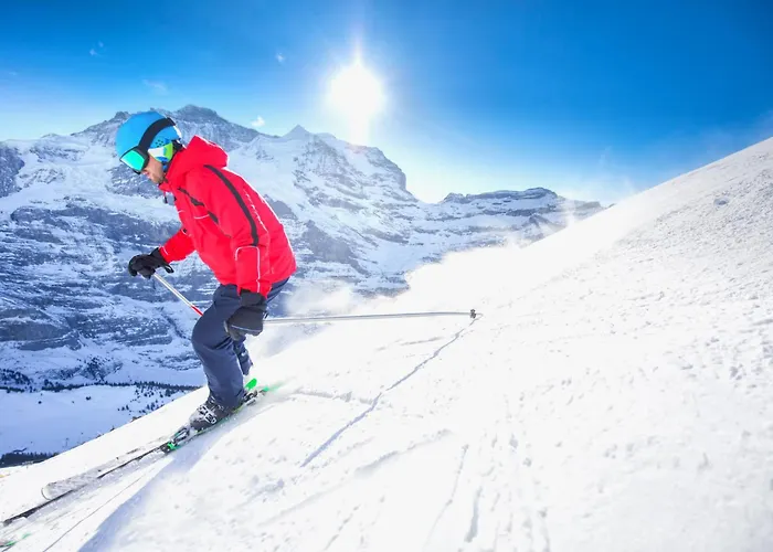 Parkareal By Interhome Davos