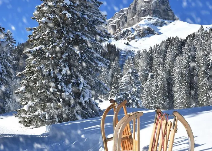 Parkareal By Interhome * Davos